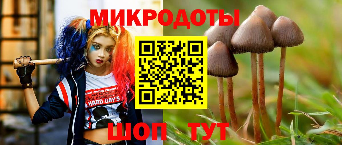 Галлюциногенные грибы прущие грибы  Вход с VPN  Нижний Тагил  Псилоцибиновые грибы прущие грибы 